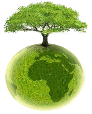 traitement des huiles noire agrée